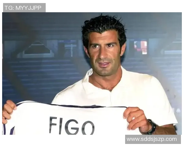 聚焦足球场七号球星的传奇历程与辉煌瞬间揭秘